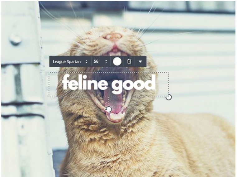 Canva Text Editor
